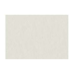 Strathmore Museum Board   2 Ply, 24 Pack 32x40   White 