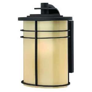 Hinkley Ledgewood 1120MR 1 Light 60 watt (10H x 7W) Outdoor Wall 