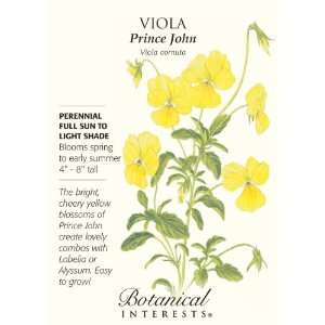  Viola Prince John Patio, Lawn & Garden