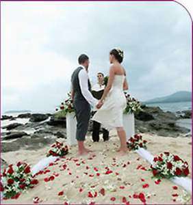 New Plus Size 16 Classic Romantic Knee Tea Length White Wedding Dress 