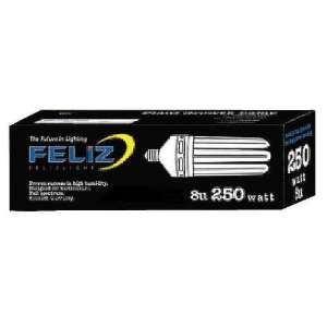    Feliz 250 Watt Compact Fluorescent Bulb 2700K