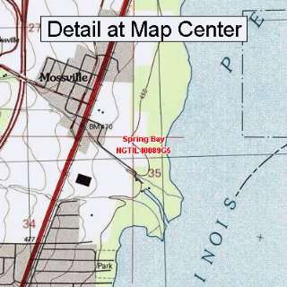  USGS Topographic Quadrangle Map   Spring Bay, Illinois 
