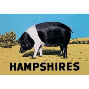  Exclusive By Buyenlarge Hampshires 12x18 Giclee on canvas 