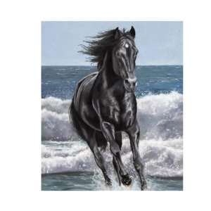  Galloping Black Stallion By the Ocean Mink Style Queen 