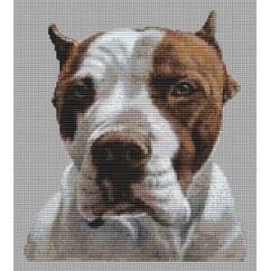  American Pit Bull Terrier   Cross Stitch Pattern Arts 