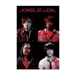  Music   Rock Posters Kings Of Leon   Portraits Poster 