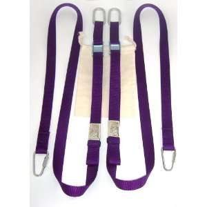 WOSS Gear Purple Swing Strap pair for Door Anchor, 8ft 