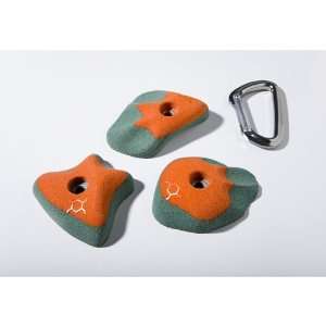  World Cup Climbing   Climbing Holds, Paws Sports 
