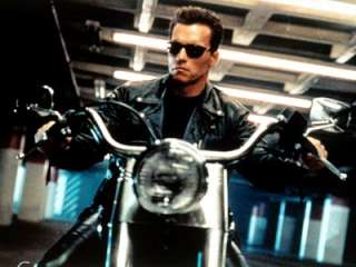 The Terminator Arnold Schwarzenegger