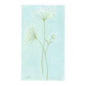  Queen Anne S Lace I (Canv)    Print