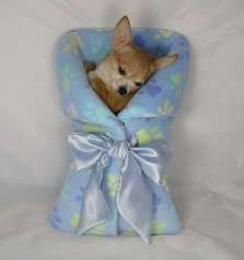 SM Dog CUSTOM OH BABY CARRIER/ BED BLUE PAWS FLEECE  