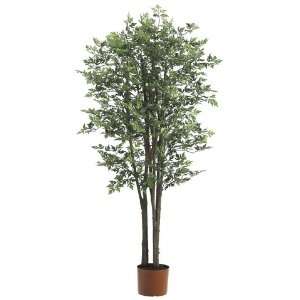 Pack of 2 Decorative Aralia Trees with Round Pots 4 