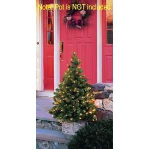 Pre Lit LED Outdoor Christmas Stake Tree   Warm Clear Lights 