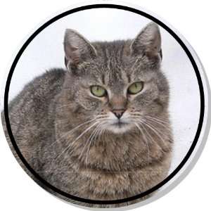  Cute Grey Tabby Cat Bumper Sticker Decal 