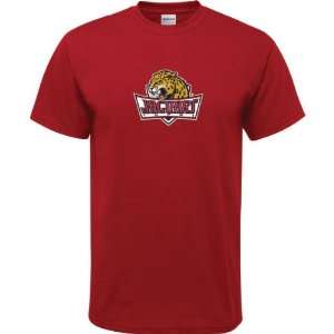  IUPUI Jaguars Cardinal Youth Logo T Shirt Sports 