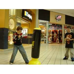  Kids punching bag with the Inflatable Punching Bag DVD 