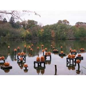  This Water Based Jack O Lantern Display in the Halloween 