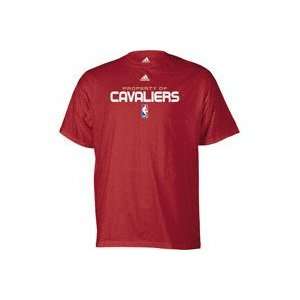 Reebok NBA Cleveland Cavaliers Team Color T Shirt Sports 
