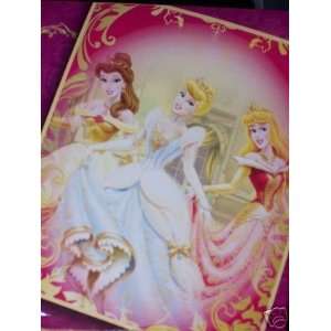  Disney Princess Fleece Throw   features Belle, Cinderella 