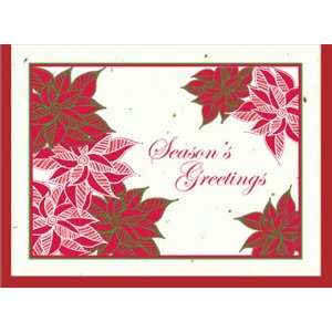  Grow A Note® Holiday Poinsettias Card 4 pack Health 