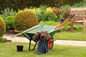 paying someone to maintain your yard can be expensive fortunately many 