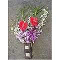 Fresh Flowers   Buy Tropical Bouquets, Mixed Bouquets 