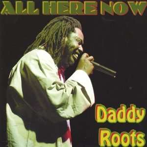  All Here Now Daddyroots Music