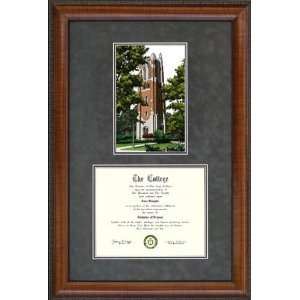  Michigan State University Document Frame with Beaumont 