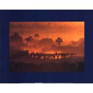  Jean luc Manaud   Oasis De Fachi, Niger Canvas
