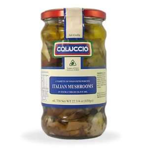 Coluccio Wild Italian Mushrooms Grocery & Gourmet Food
