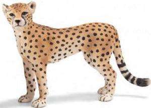 Schleich #14614 Cheetah Female, Toy Collectible Cheetah  