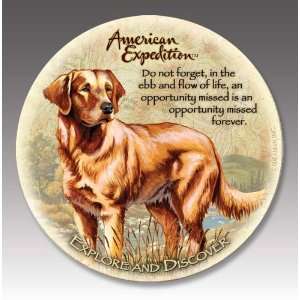  Golden Retriever Stone Coaster Set