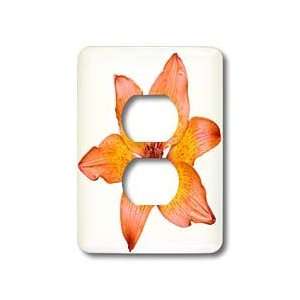 Taiche Photography   Flower Lily   Light Switch Covers   2 plug outlet 