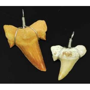  Shark Tooth Talisman Amulet Necklace Pendant Wicca Wiccan 