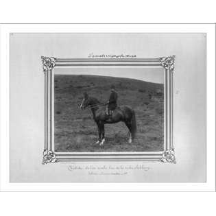 Library Images Historic Print (M) [The nine year old bay horse of 