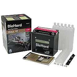  Battery 14 BS (with exchange)  DieHard Gold Automotive Batteries 