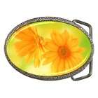 Carsons Collectibles Belt Buckle of Daisy Flowers (Daisies) African 