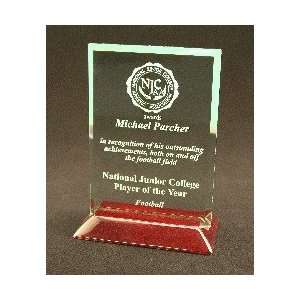  1704 8    Jade Glass 8 Rectangle Award