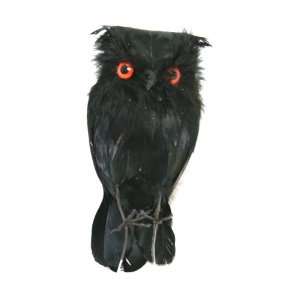  Good Tidings 8397101 Decorative Halloween Black Feathered 