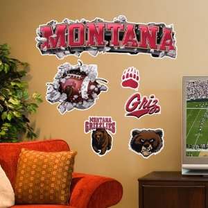  NCAA Montana Grizzlies Logo Wall Crashers