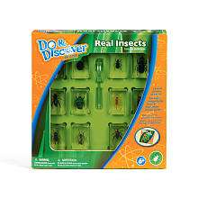   Science 12 Real Insects in Resin Collection   Toys R Us   