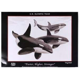 USA Olympic Team 13 x 18 Wyland Faster Higher Stronger Poster 