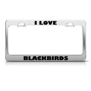   Blackbirds Blackbird Animal license plate frame Stainless Automotive