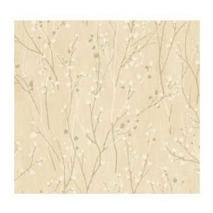  York Wallcoverings Veranda AD8223 Pussywillow Branches 
