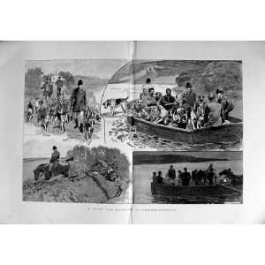  1889 Cub Hunting Pembrokeshire Hounds Milford Haven