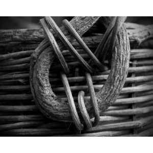   Willow Basket, Limited Edition Photograph, Home Decor Artwork Home