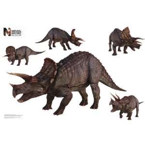   Dinosaur Triceratops Group WJ 1041 Vinyl Sticker