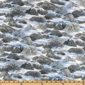  44 Wide Wind & Waves Rough Waters Blue/Grey Fabric By 
