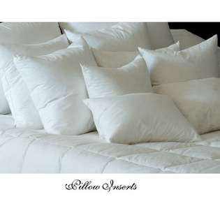 DownTown Company Downtown Euro Pillow Insert in White 