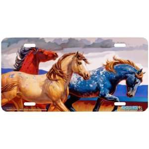 6518 Carousel III Horse License Plates Car Auto Novelty Front Tag by 